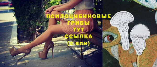 мяу мяу кристалл Нефтекумск