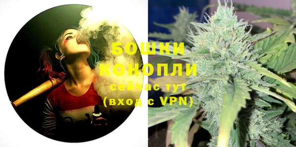 шишки Нефтегорск