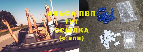 СК Новозыбков