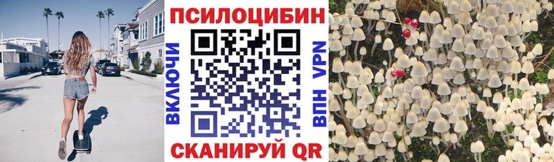 Галлюциногенные грибы GOLDEN TEACHER  KRAKEN как войти  Кадников  купить наркоту 