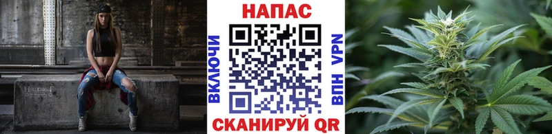 Бошки Шишки сатива  мориарти официальный сайт  Кадников  где купить  